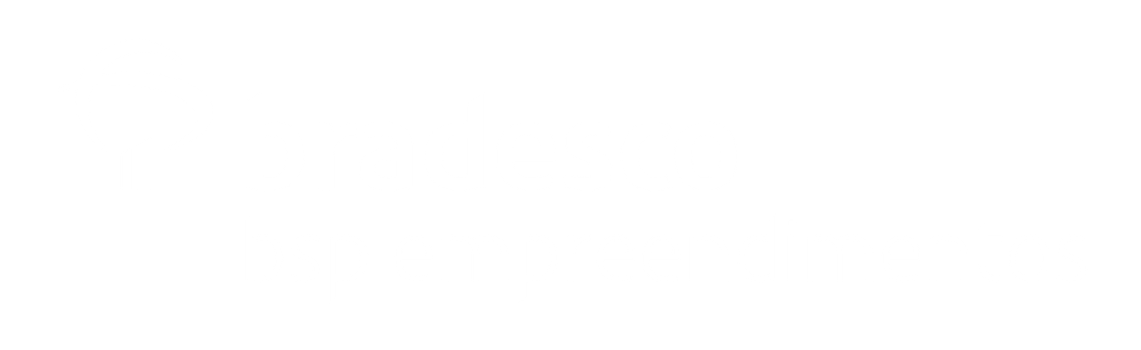 Bradesco BSP Empreendimentos